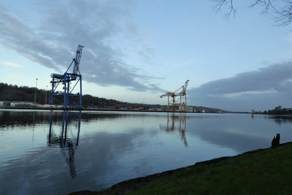 Cork