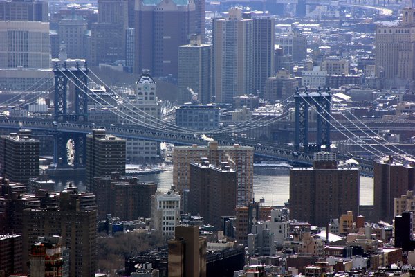 New York City pollen count