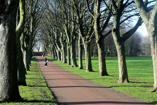 Rotherham