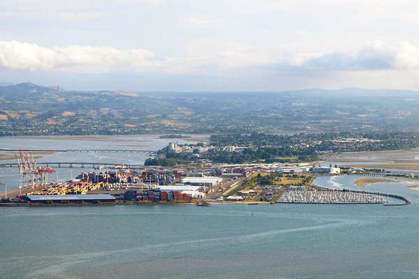 Tauranga