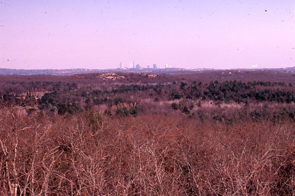 The Woodlands