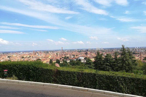 Livello pollini Bologna