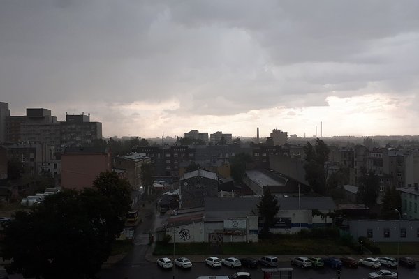 Stężenie pyłków Łódź