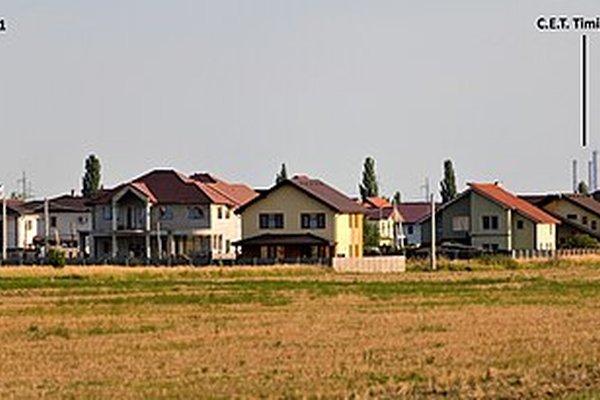 Nivel polen Timișoara