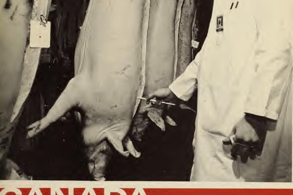 Les différents types de pollens et leurs impacts